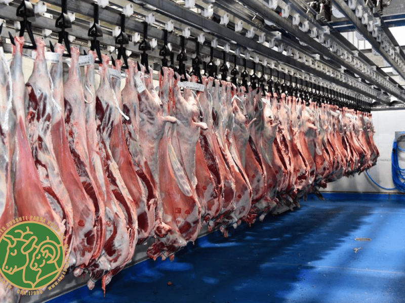 چگونه گوشت  تقلبی را تشخیص دهیم؟