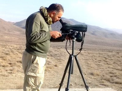 ملاقات با  حیات‌وحش  سوار بر فناوری