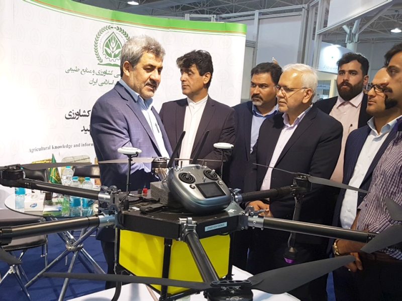 وقتی شهپادها،  نان‌آور میگوها می‌شوند