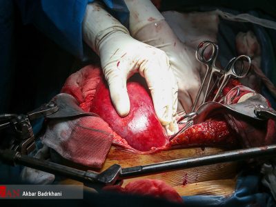 رتبه یک آسیا هستیم