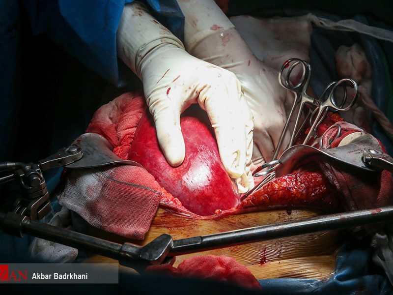 رتبه یک آسیا هستیم